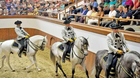 Real Escuela Andaluza del Arte Ecuestre