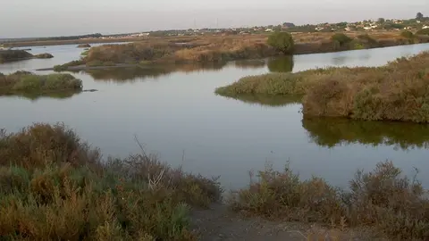 Hallan el cuerpo sin vida del hombre de 87 a&ntilde;os desaparecido a finales de mayo en Chiclana