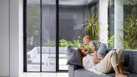 Puerta magn&eacute;tica Apalus en Amazon