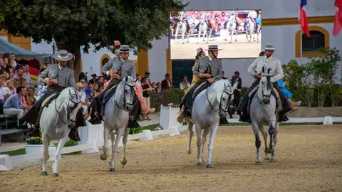 Gala V Escuelas en la Real Escuela Andaluza del Arte Ecuestre (3)