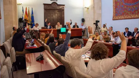 Votaci&oacute;n en el Pleno del Ayuntamiento de Jerez | Foto: Noelia Herrera (Jonocla) para El MIRA