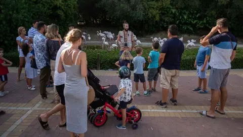 Paseos guiados al atardecer en el Zoobot&aacute;nico de Jerez