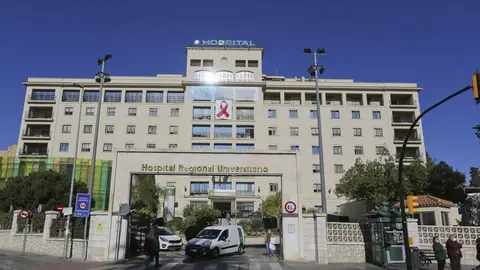 Matan a una mujer en M&aacute;laga. Acaban deteniendo a su pareja