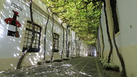 Calle Ciegos en Gonz&aacute;lez Byass