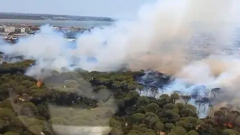 Importante incendio forestal en Puerto Real que deja a C&aacute;diz sin luz y obliga a cortar la AP-4