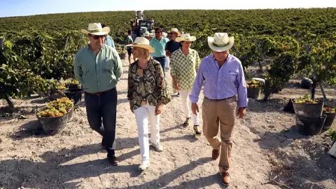 Garc&iacute;a-Pelayo en una vi&ntilde;a