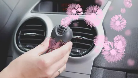 Carrefour ficha por 3 euros&nbsp;el ambientador de coche m&aacute;s placentero del mercado