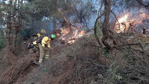 Los incendios se llevan por delante 1.326 hect&aacute;reas en lo que llevamos de 2023 en Andaluc&iacute;a