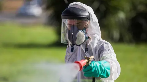 Desinfecci&oacute;n por el virus del Nilo