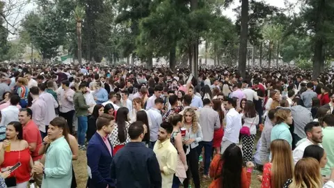 Barril&aacute; en la Feria del Caballo