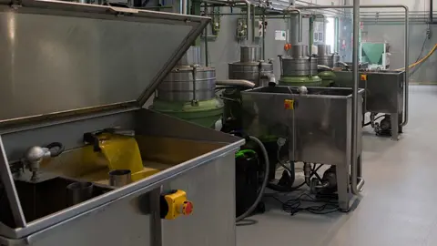 Con la que est&aacute; cayendo. Roban 56.000 litros de aceite de una almazara de C&oacute;rdoba