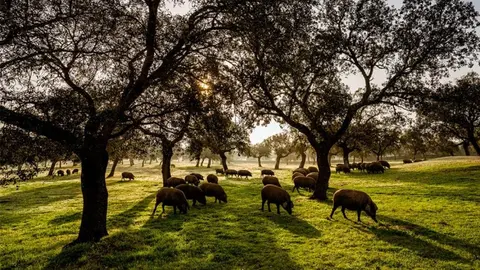 5 lugares maravillosos para visitar y perderse en oto&ntilde;o en Andaluc&iacute;a