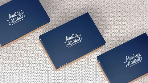 Cajas de calzado Mustang