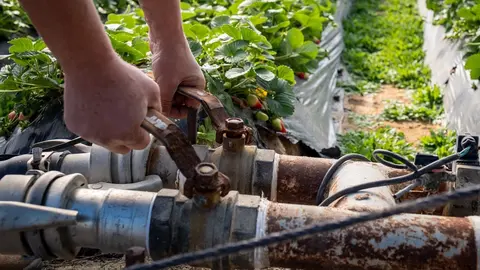 La Junta de Andaluc&iacute;a tajante: "El acuerdo para Do&ntilde;ana no ser&aacute; a costa de los agricultores"