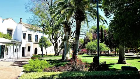 Todo lo que se sabe la pelea multitudinaria en los Jardines de Orive en C&oacute;rdoba