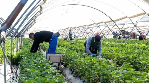 Optimismo en Huelva: "Se llegar&aacute; al mejor acuerdo para Do&ntilde;ana y los agricultores"