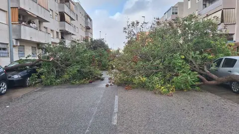 La borrasca Bernard arrasa con todo a su paso por Jerez
