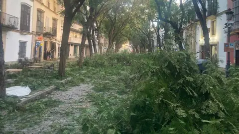 Calle Porvera tras el paso de la borrasca Bernard