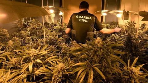 El singular m&eacute;todo por el que exportaban droga desde Huelva hasta Alemania. Hay 6 detenidos