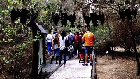 Halloween en el Zoobot&aacute;nico de Jerez