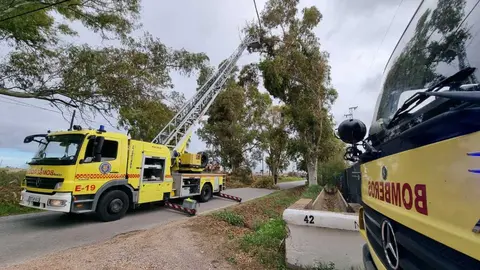 Bomberos de Jerez actuando por el riesgo de ca&iacute;da de ramas de &aacute;rboles | Foto: Jes&uacute;s Catal&aacute;n para El MIRA