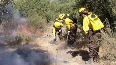 El grupo TRAGSA necesita personal en Andaluc&iacute;a. Tipo de contrato y sueldos