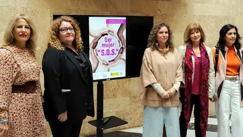 Presentaci&oacute;n de la programaci&oacute;n por el 25-N