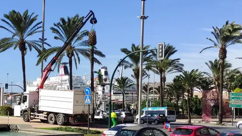 Estas son las graves consecuencias personales que deja el temporal de viento en Almer&iacute;a (1)