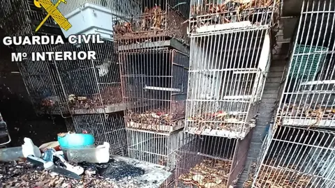 Interior de la finca donde se encontraban los animales