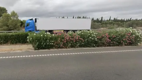 Muere atropellado un hombre en Roquetas de Mar. Encuentran su cad&aacute;ver en un descampado