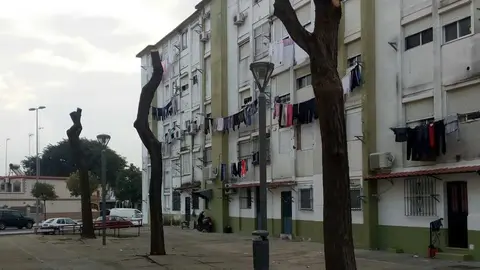 Santo Tom&aacute;s de Aquino