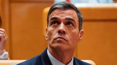 El presidente del Gobierno, Pedro S&aacute;nchez