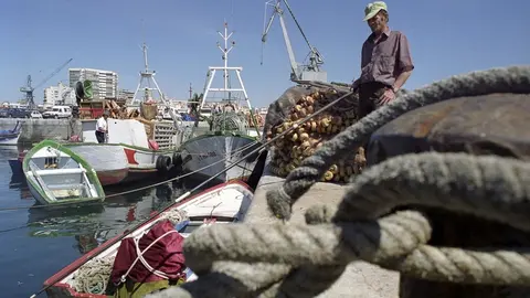 Andaluc&iacute;a se adelanta al Gobierno de Espa&ntilde;a: Estas son las nuevas ayudas para la flota pesquera