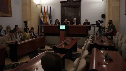Pleno Extraordinario en Jerez contra la amnist&iacute;a | Foto: Jos&eacute; Antonio Pliego para El MIRA