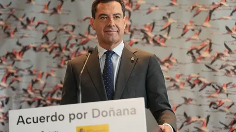 El presidente de la Junta de Andaluc&iacute;a Juanma Moreno (6)