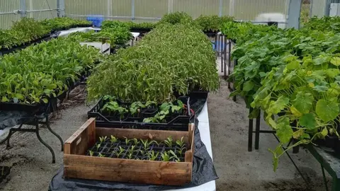 Vivero de la Diputacion de C&aacute;diz en Jerez