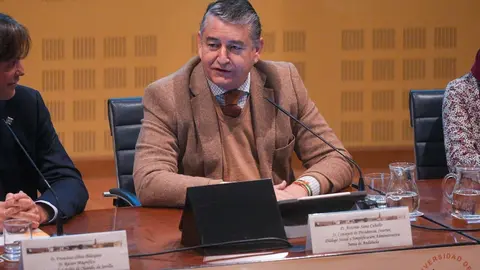 Antonio Sanz confirma que Andaluc&iacute;a ha invertido m&aacute;s de 36 millones en Inteligencia Artificial