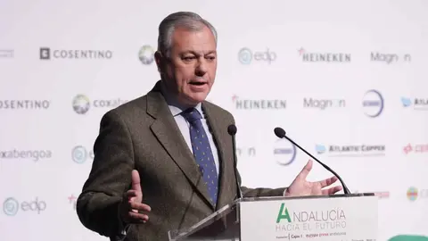 El alcalde de Sevilla, Jos&eacute; Luis Sanz