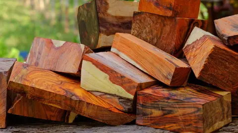 Madera de palisandro