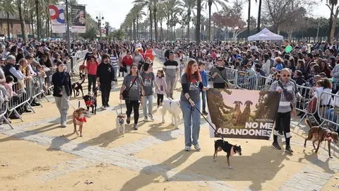 Festividad de San Ant&oacute;n 2024 en Jerez | Cristo Garc&iacute;a