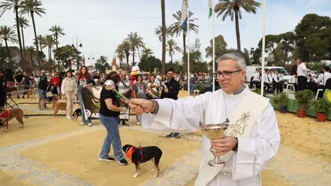 Festividad de San Ant&oacute;n 2024 en Jerez | Cristo Garc&iacute;a