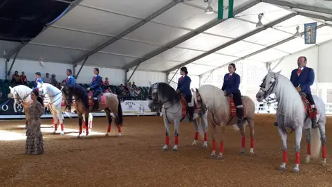 Actividades deportivas financiadas por Diputaci&oacute;n de C&aacute;diz