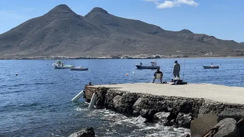 Todo lo que se sabe sobre la aparici&oacute;n de restos cadav&eacute;ricos en descomposici&oacute;n en Almer&iacute;a