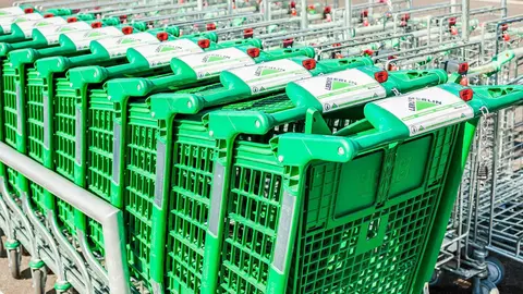 Carros de compra de Leroy Merlin