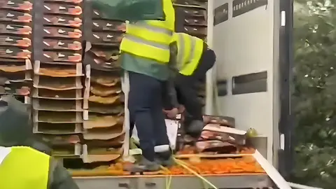 Agricultores paran en la AP-4 Jerez un cami&oacute;n de Marruecos y arrojan toda su carga