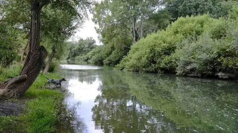 Un anciano desorientado se pierde a 900 metros de altitud en M&aacute;laga