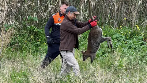 Personal del Zoobt&aacute;nico de Jerez y Protecci&oacute;n Civil con el canguro ya capturado