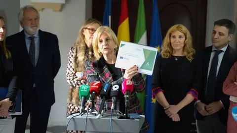 'Hub' aeron&aacute;utico NET ZERO de Jerez | Jos&eacute; Antonio Pliego