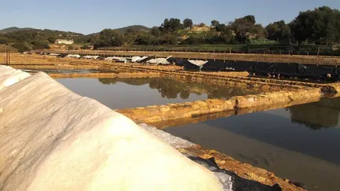 Salinas romanas de Iptuci en Prado del Rey 