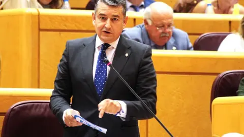 Antonio Sanz, durante su intervenci&oacute;n en el Parlamento